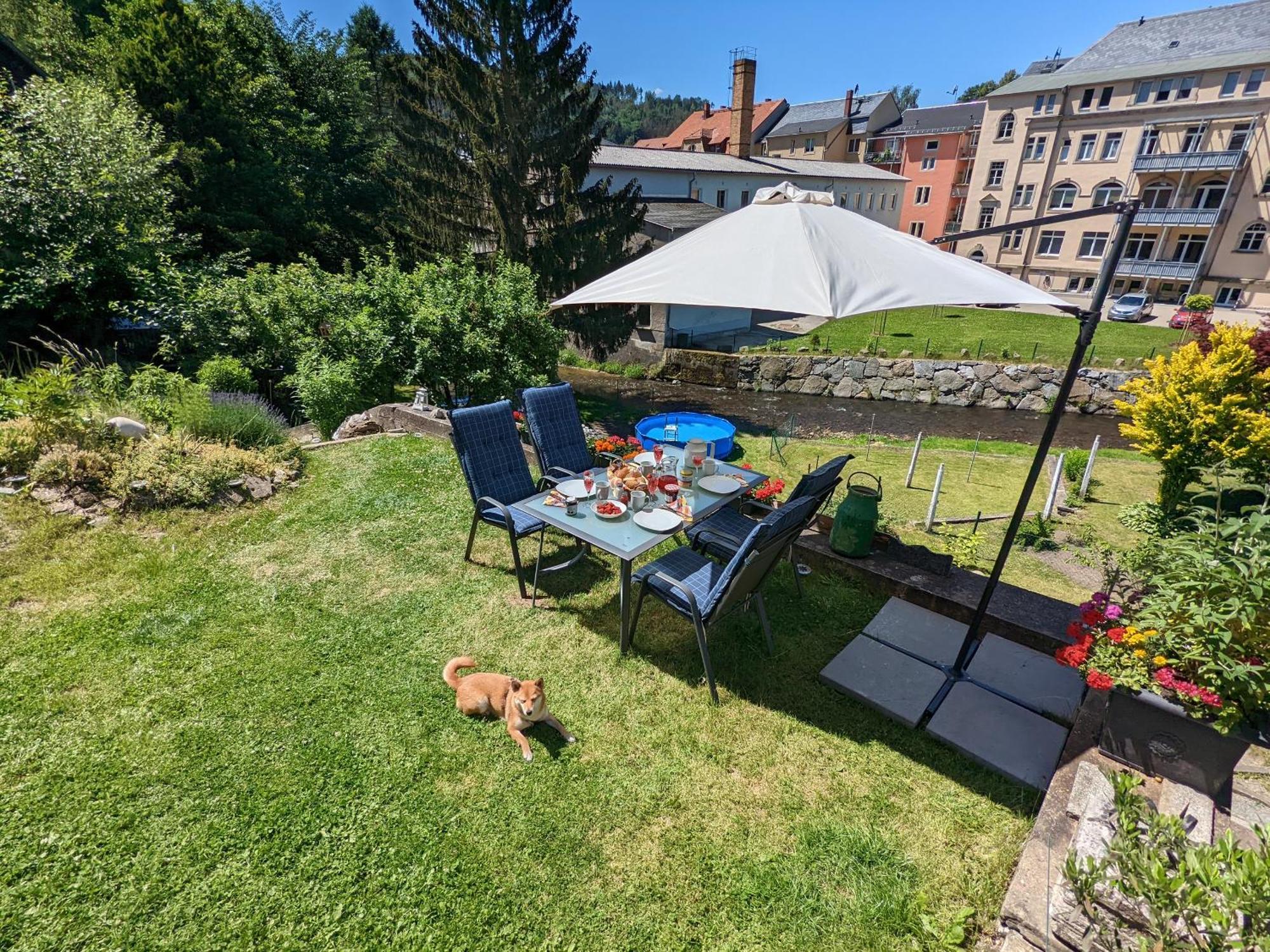 Hw4B - Urlaubsmagie - Zentral Mit Gemeinschaftsgarten, -Pool, -Sauna & Whirlpool Sebnitz Kültér fotó