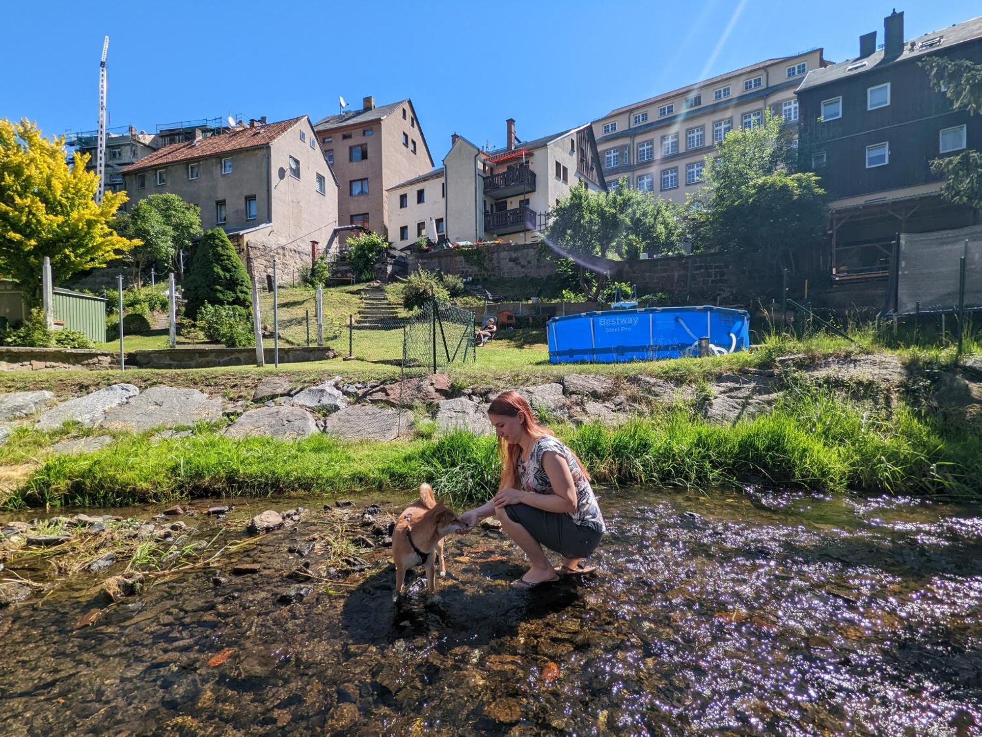 Hw4B - Urlaubsmagie - Zentral Mit Gemeinschaftsgarten, -Pool, -Sauna & Whirlpool Sebnitz Kültér fotó