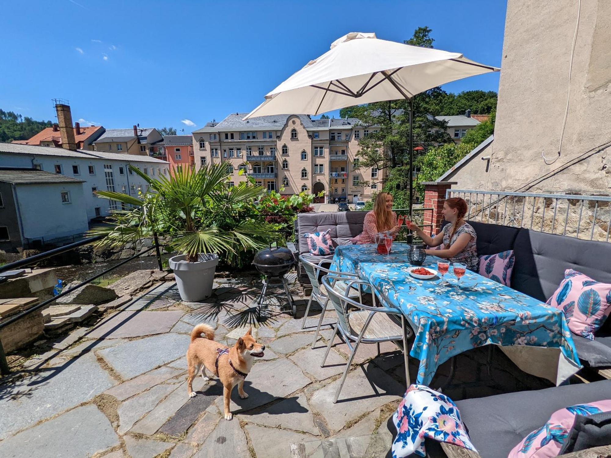 Hw4B - Urlaubsmagie - Zentral Mit Gemeinschaftsgarten, -Pool, -Sauna & Whirlpool Sebnitz Kültér fotó