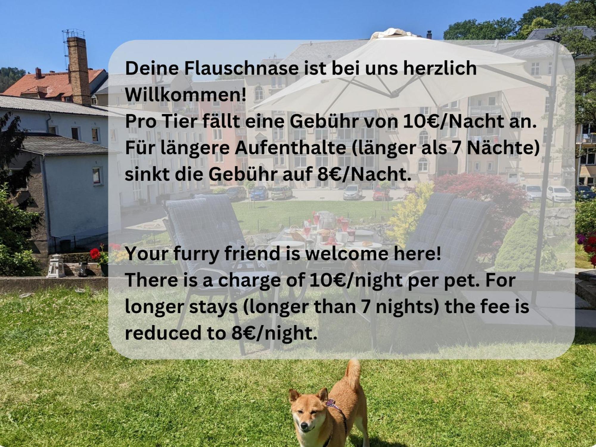 Hw4B - Urlaubsmagie - Zentral Mit Gemeinschaftsgarten, -Pool, -Sauna & Whirlpool Sebnitz Kültér fotó